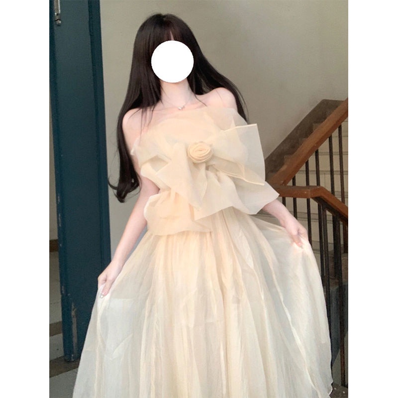 Bộ Áo Ống Ngắn + Chân Váy Lưới Eo Cao Thời Trang Mùa Hè 2022 Phong Cách Pháp Hàng Mới Dành Cho Bạn Nữ