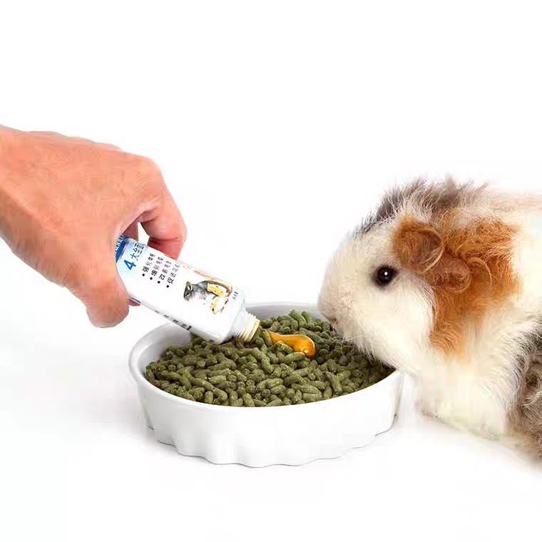 Gel dinh dưỡng Dr.Bunny dành cho Thỏ/ Bọ Ú/ Chinchila/ Hamster DR331 - DR330
