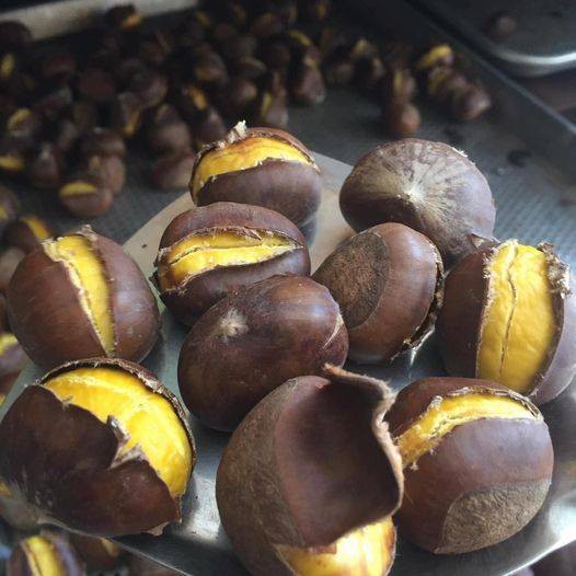 Combo 2Kg Hạt Dẻ Tươi - Hạt Dẻ Trùng Khánh Cao Bằng Hạt To Thơm Ngon