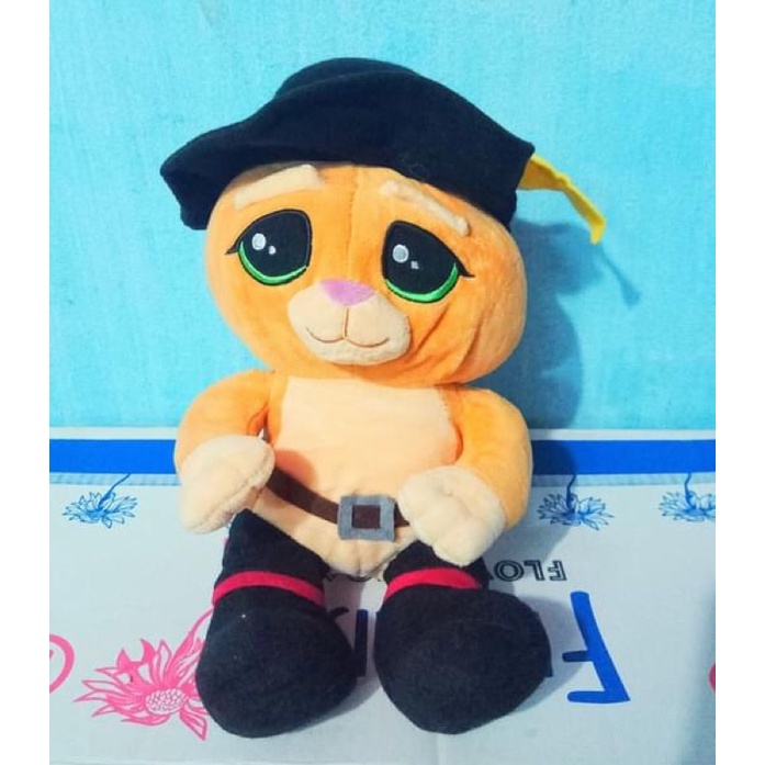 Gấu bông mèo Dihia  Shopee Việt Nam