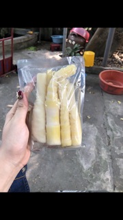 Măng trúc tây bắc sạch