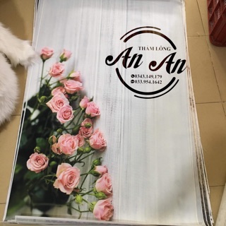 Vải nền hình 3d chụp ảnh