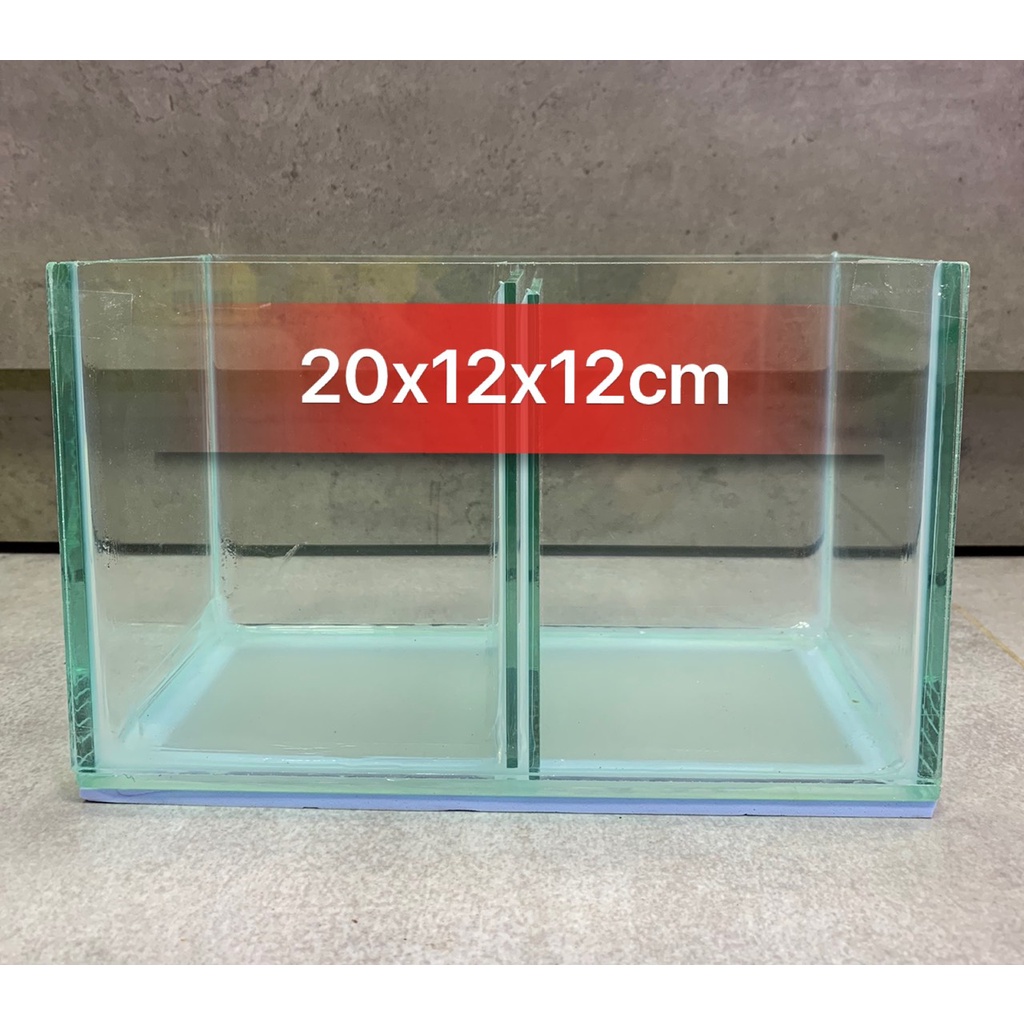 Hồ nuôi cá betta 1 ngăn, 2 ngăn, 3 ngăn siêu tiện lợi