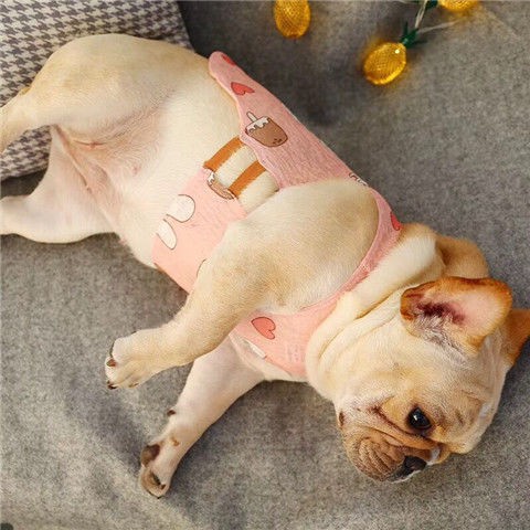 Quần áo bulldog Pháp cho chó con vest mùa xuân và hè thoáng khí mát mẻ mèo Pug thú cưng Teddy Corgi