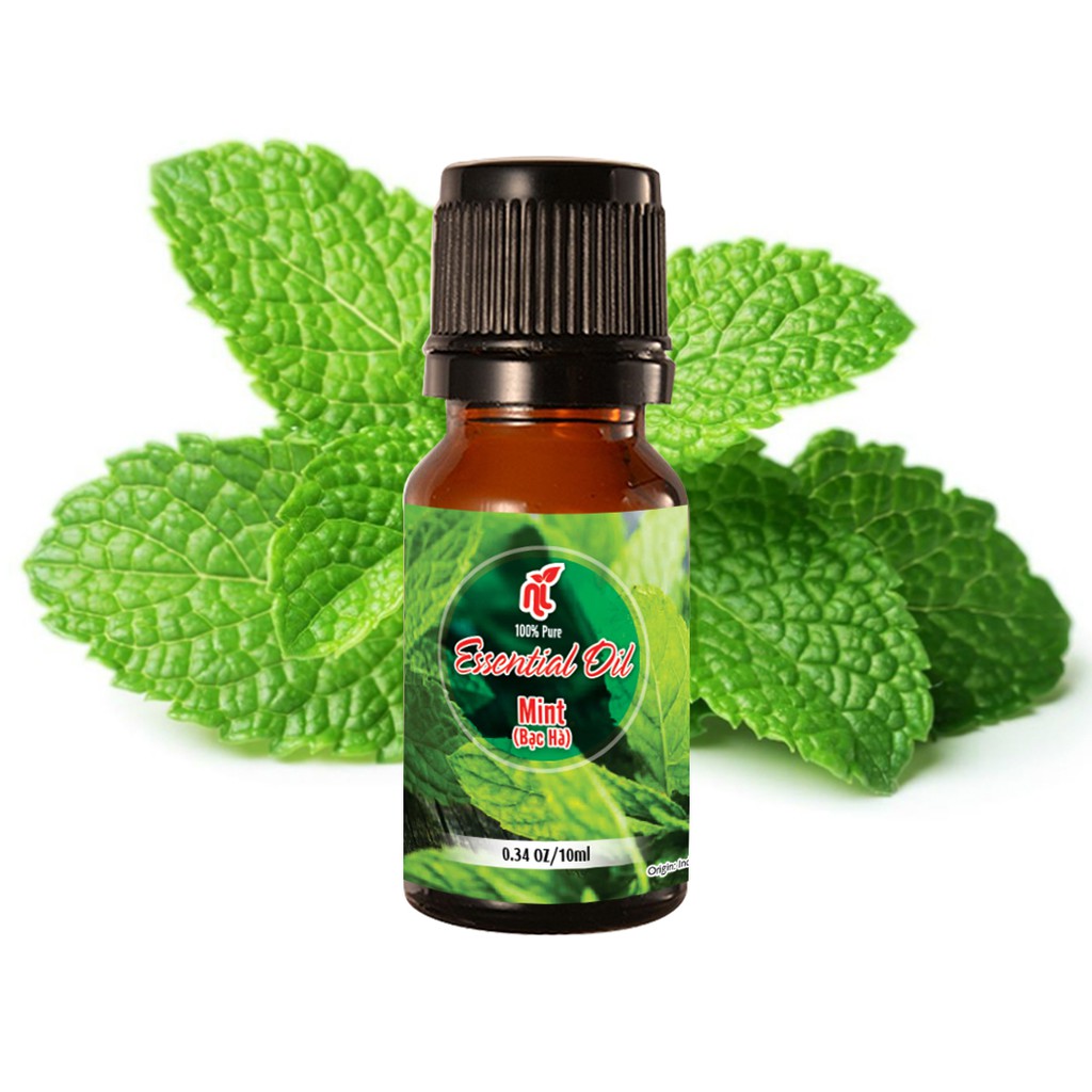 Tinh dầu bạc hà Peppermint, nguyên chất 100%, nhập khẩu Ấn Độ,có giấy kiểm định-nhập khẩu, hương thơm tươi mát