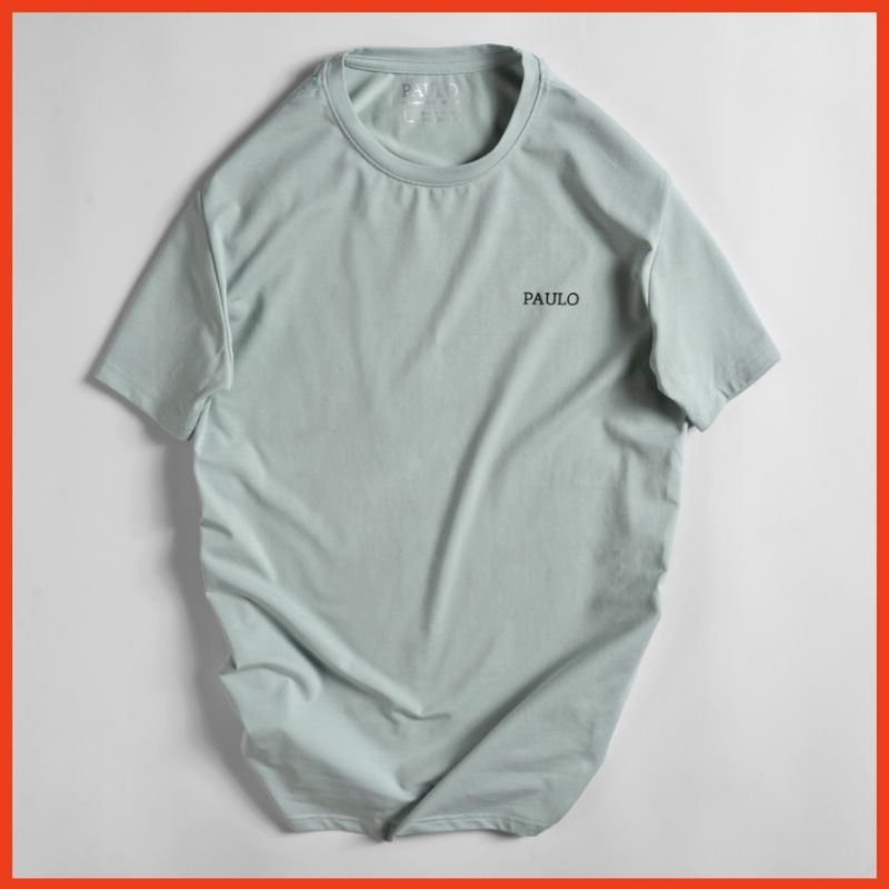 Áo thun nam cổ tròn vải cotton lạnh co giãn dày dặn , form regular fit P01 loại 1