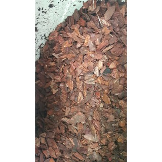 1KG VỎ THÔNG XAY - HÀNG VỤN