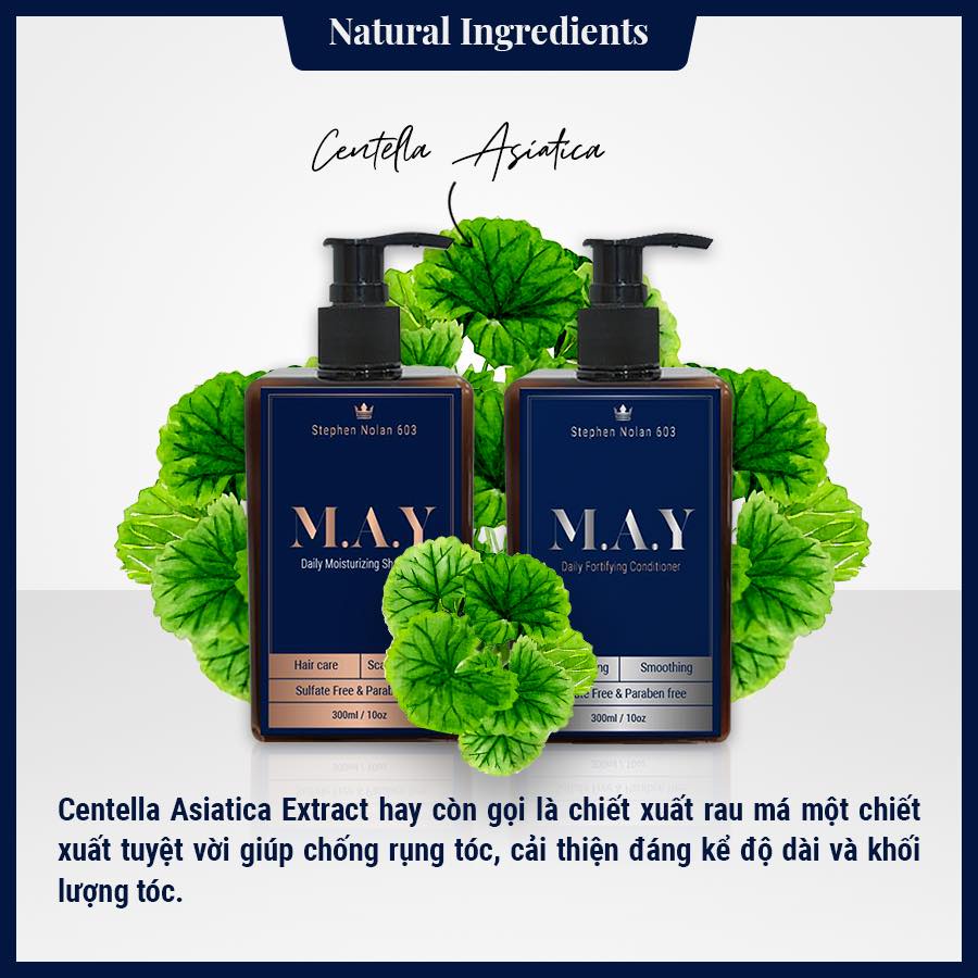 Combo Dầu gội xả cho nam M.A.Y Daily Shampoo &amp; MAY Conditioner l Stephen Nolan 603 - Phục hồi hư tổn, hạn ch