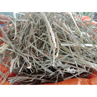 Cỏ mần trầu khô 100gr
