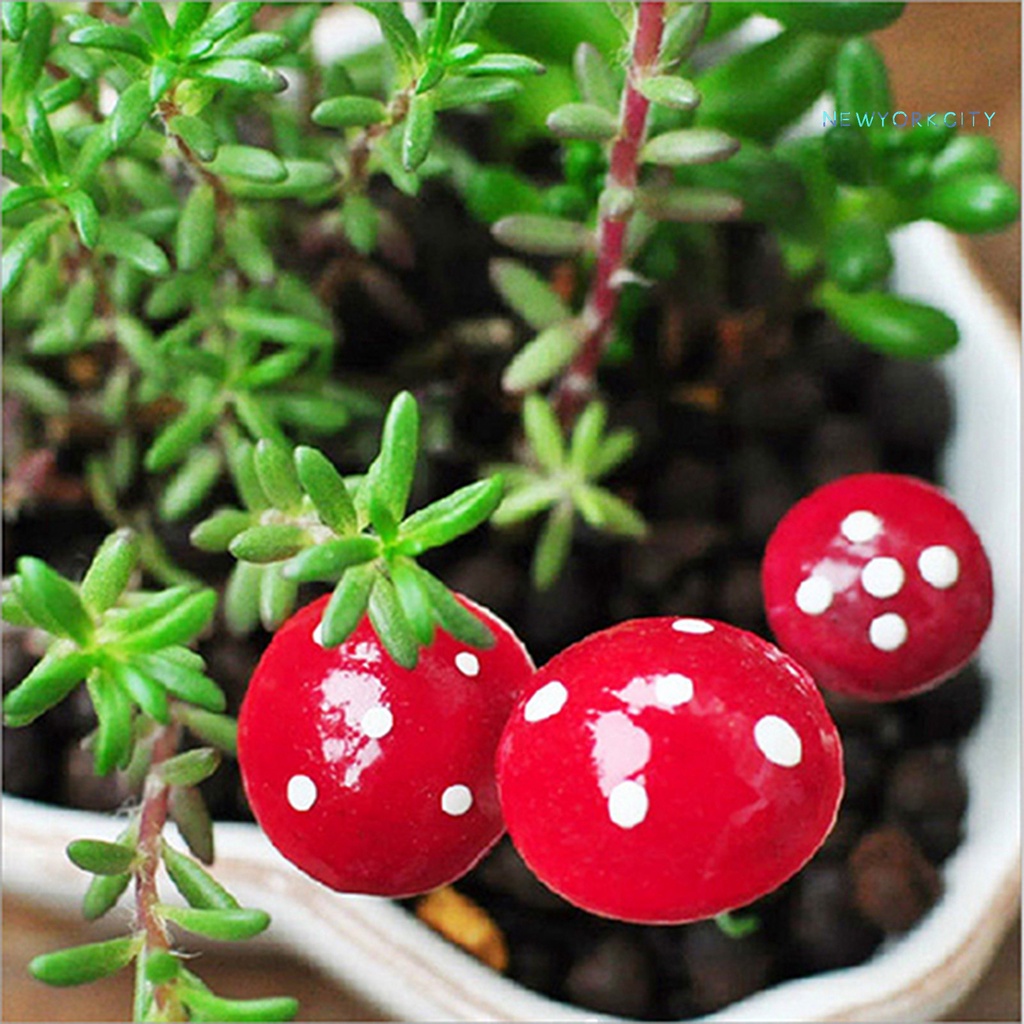 Set 20 Đồ trang trí Nấm Mini Trang Trí Sân Vườn