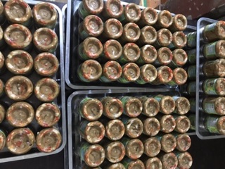THỊT CHUA TỎI ỚT