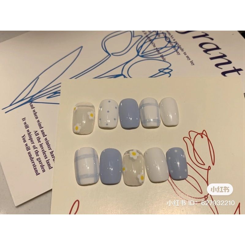 nail box thiết kế móng giả