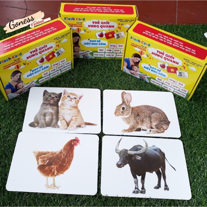 Bộ Thẻ Học Từ Vựng Kèm Hình Ảnh Size To Cho Bé- Dạy Trẻ Biết Đọc Sớm - Dạy Bé Nhận Biết Về Thế Giới Xung Quanh GIVOSA
