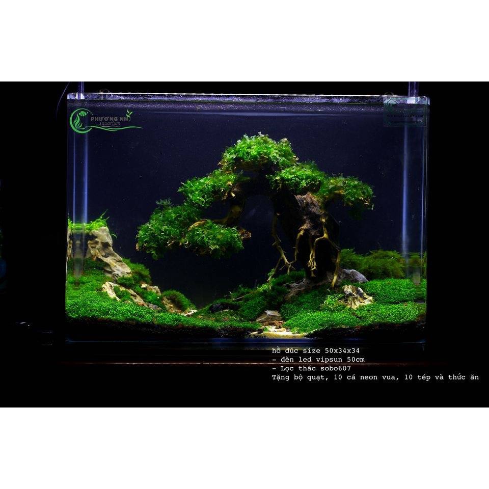 Hồ đúc 50x33x35  giao tại HCM