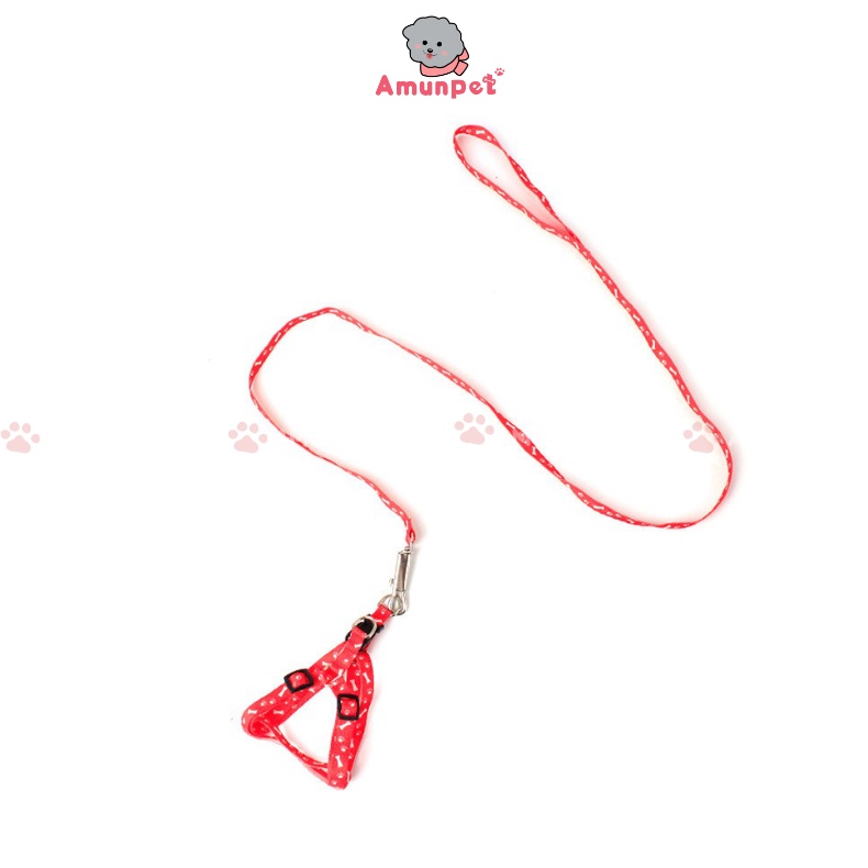 Dây Dắt Chó Mèo Đi Dạo Dễ Thương Mẫu Dây Dắt Dạng Yếm Cho Thú Cưng Giá Rẻ Amun Pet