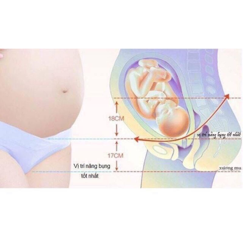 Quần lót bầu cạp chéo giá siêu rẻ đẹp