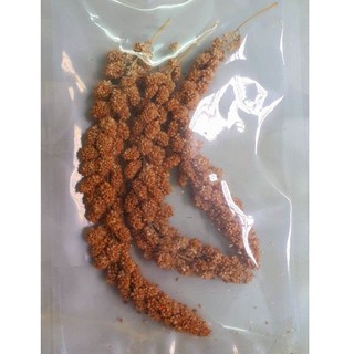 Kê chùm hamster (30gr - 70gr)