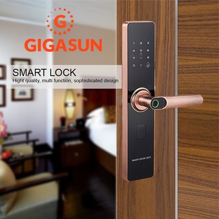 Khóa cửa điện tử Gigasun D01R