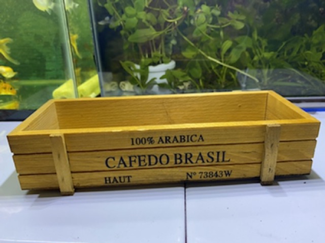 CHẬU GỖ CAFEDO TRỒNG TIỂU CẢNH SEN ĐÁ