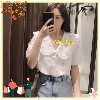 ANU381 - ÁO SƠ MI NỮ TRẮNG HOA CÚC CỔ BÈO