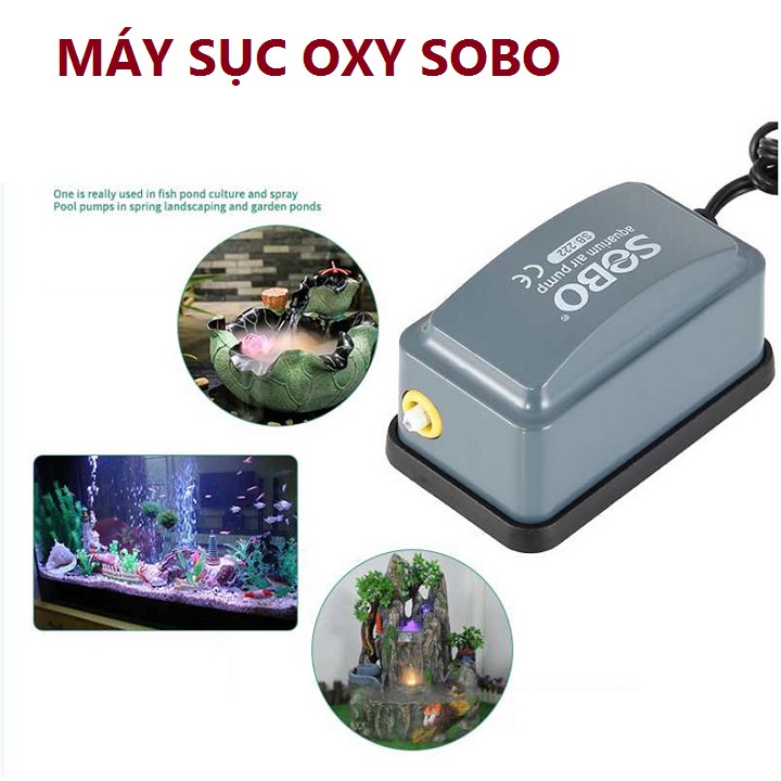 Máy sục khí, Ozone 12v hoặc 220v