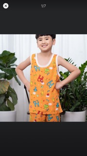 BỘ LẠNH BÉ TRAI ( CÔNG TY VIỆT THẮNG)