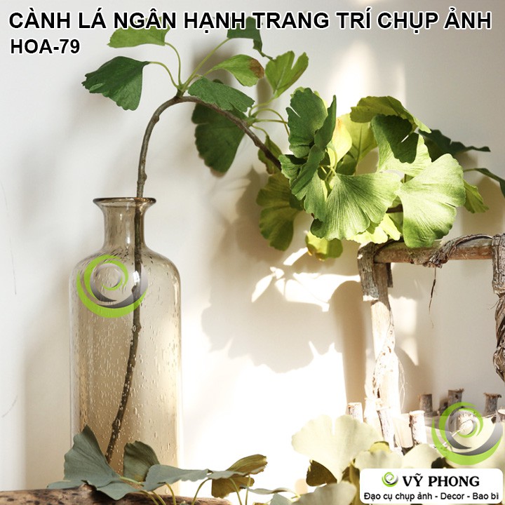 CÀNH LÁ NGÂN HẠNH RẼ QUẠT TRANG TRÍ ĐÁM CƯỚI ĐẠO CỤ CHỤP ẢNH SẢN PHẨM INS HOA-79