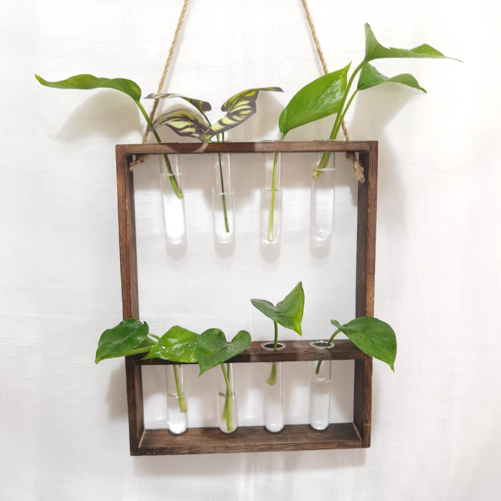 Wall Hanging Planter for Hydroponic Plants Modern Bulb Glass Vase for Home