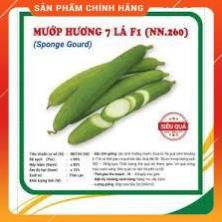 VNUA - HẠT GIỐNG MƯỚP HƯƠNG 7 LÁ F1 GÓI 2 GRAM