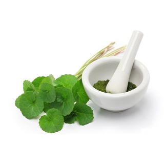 500gr Bột Rau Má Dưỡng Da Thâm Mụn