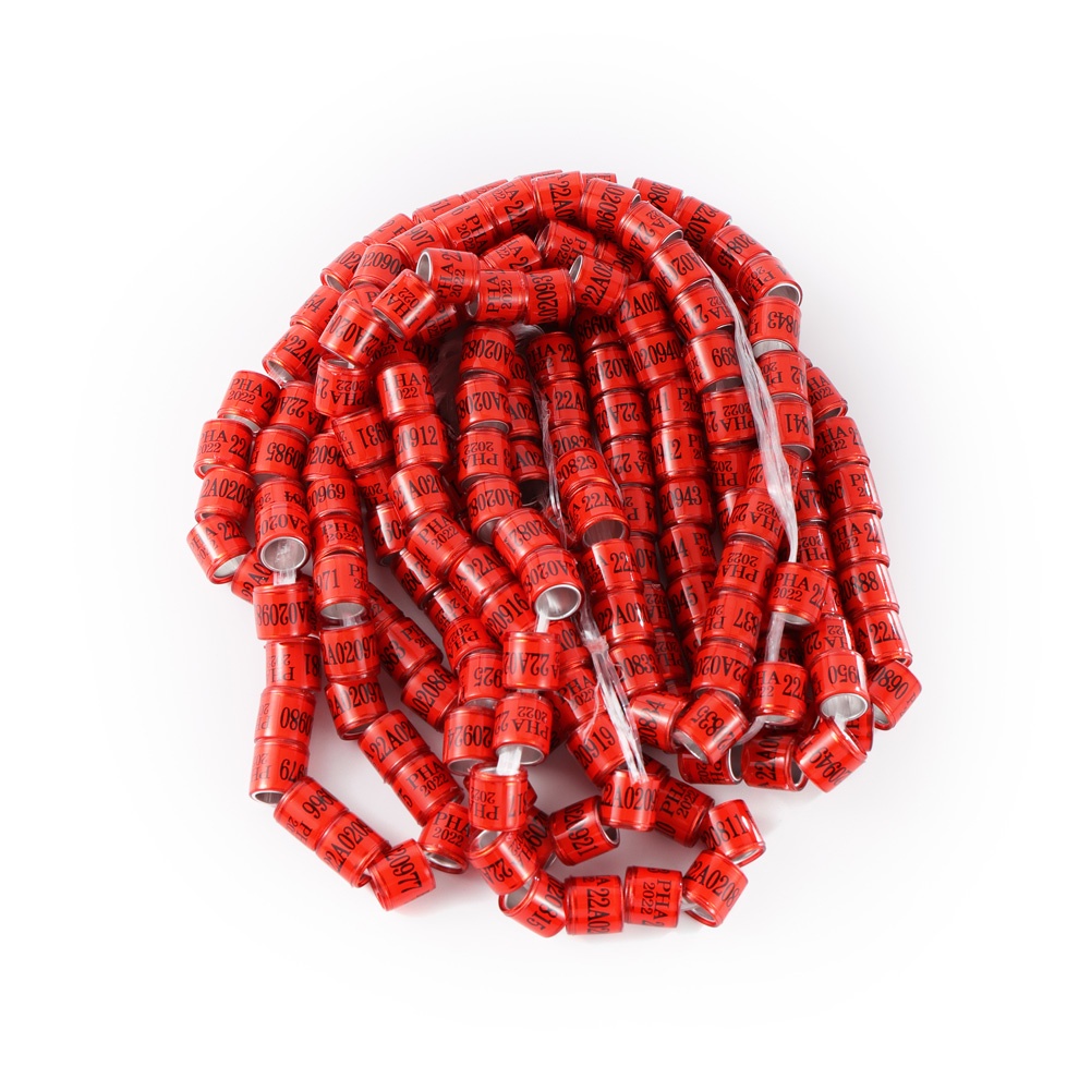 Set 50 / 10 Vòng Đeo Chân 8mm Huấn Luyện Chim Bồ Câu 2024 / 2023 PHA