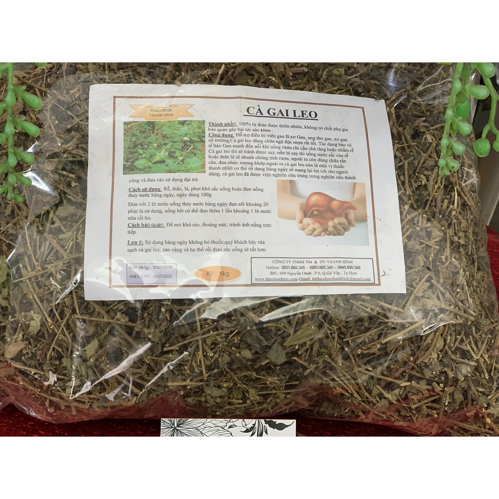 Cà Gai Leo 100g - Loại Xịn Hàng Công Ty