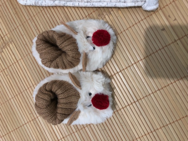 Giày tất zara kid