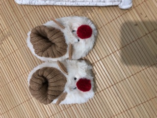 Giày tất zara kid