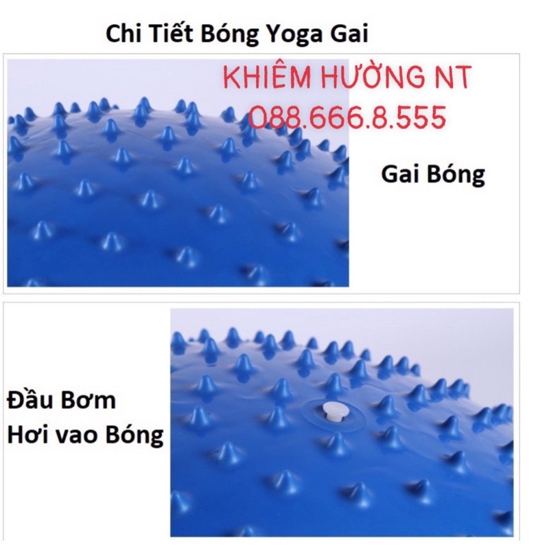 Bóng tập Gym,Yoga Gai + tặng Kim bơm và Bộ nút Dự Dự Phòng