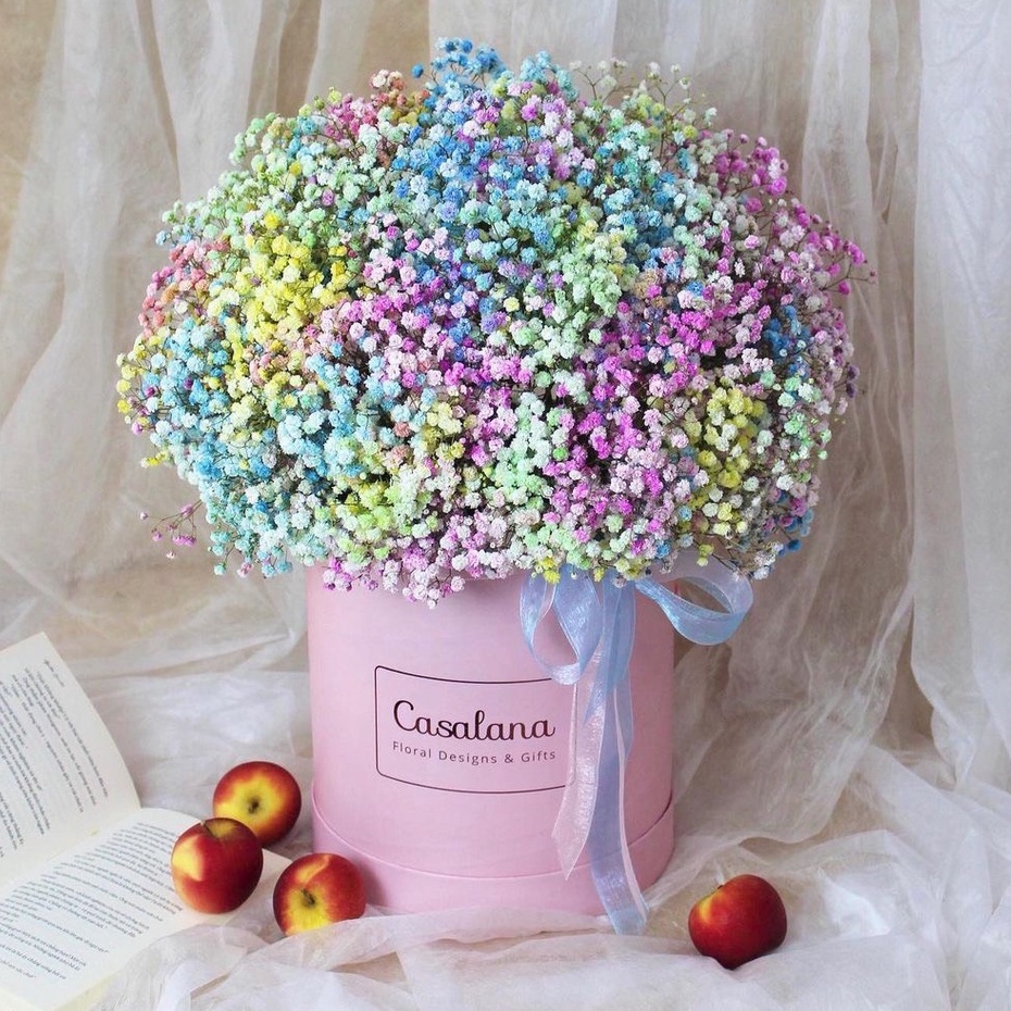 Bó 120gr hoa baby khô decor trang trí nhà cửa, hoa khô trang trí nội thất siêu xinh