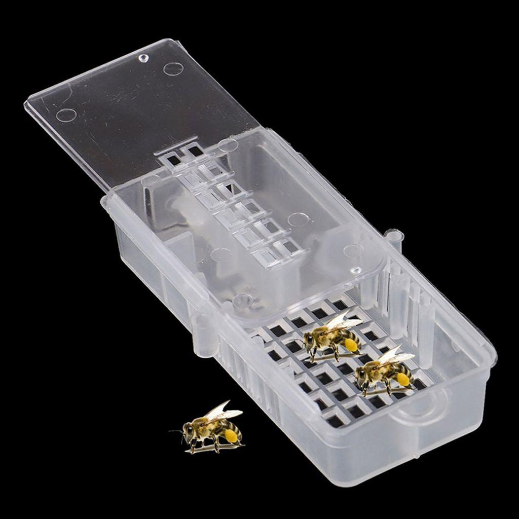 Lồng Nuôi Ong Bằng Nhựa PP Trong Suốt Chất Lượng Cao