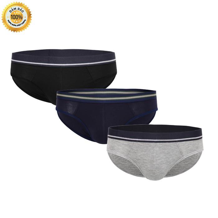 Combo 3 quần lót nam cotton 2 chiều cao cấp TTGShcm Fashion QS300 màu ngẫu nhiên