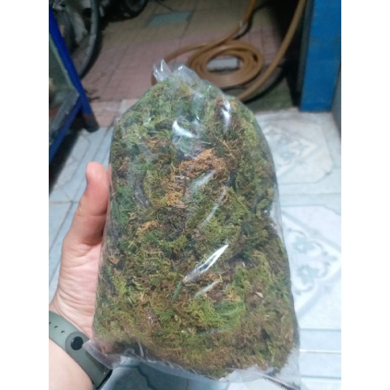 rêu rừng phơi khô 100g