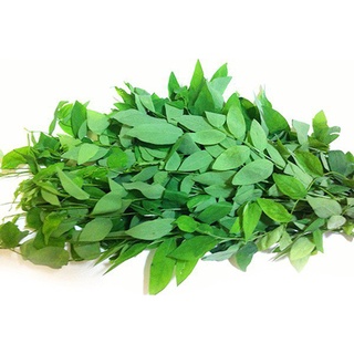 Rau ngót tươi hữu cơ gói 250g