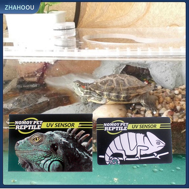 ☃Nhà☃ Thẻ Kiểm Tra Bằng Tia Uv Trong Vòng 10 Giây Cho Thú Cưng Bò Sát