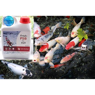 Vi sinh psb chuyên dùng cho hồ cá koi "fresh psb for koi" dung tích 1 lít - hàng công ty
