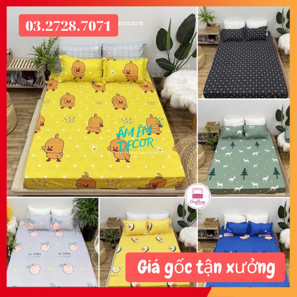 [HÀNG ĐẸP] Ga Trải Giường , drap trải giường Poly Cotton M6/M8  Nhiều Mẫu Tùy Chọn - Bộ ga chun kèm 2 vỏ gối poly cotton