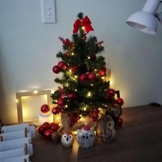 10m 100 bóng Dây Đèn Led dây đồng đom đóm Trang trí cây thông noel