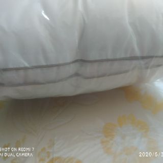 Ruột gối 45*65 SOFT EVERON