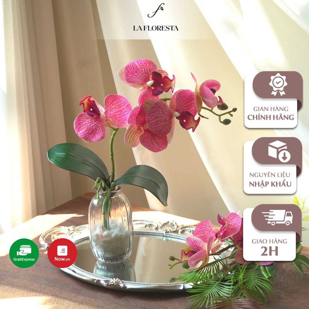 Bình Kẻ Lan Hồ Điệp LA FLORESTA Làm Từ Thuỷ Tinh Cao Cấp, Dùng Trong Trang Trí Văn Phòng, Nhà Cửa