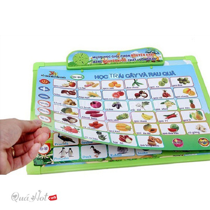 bảng Học Chữ Cái Điện Tử Thông Minh