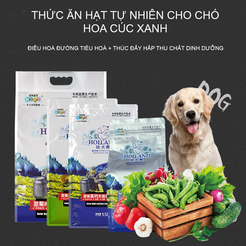 Thức ăn hạt cho chó tự nhiên hoa cúc tần CHZK HOLLAND hương vị thơm ngon tăng cường miễn dịch tự nhiên