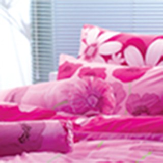 Drap Bọc Nhập Khẩu TOTO TT251