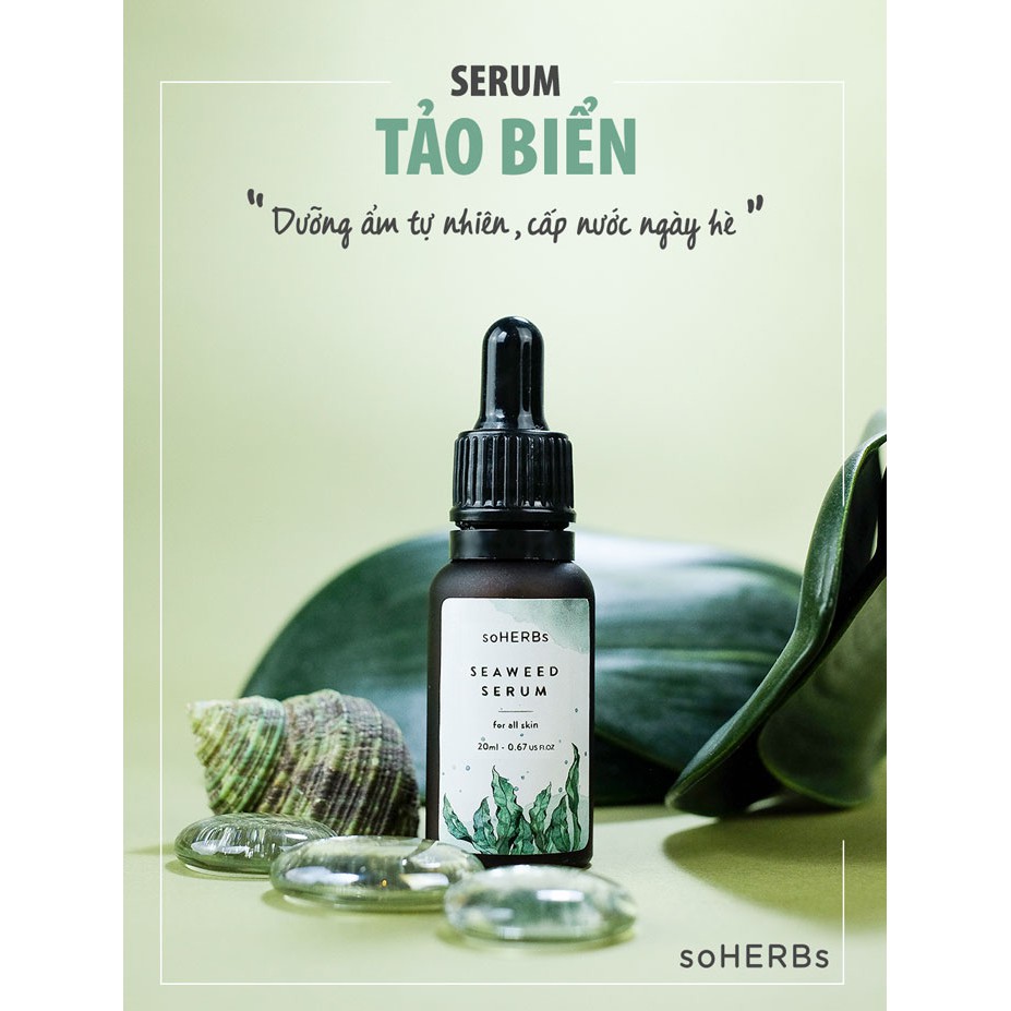 SERUM TẢO BIỂN - SEAWEED SERUM